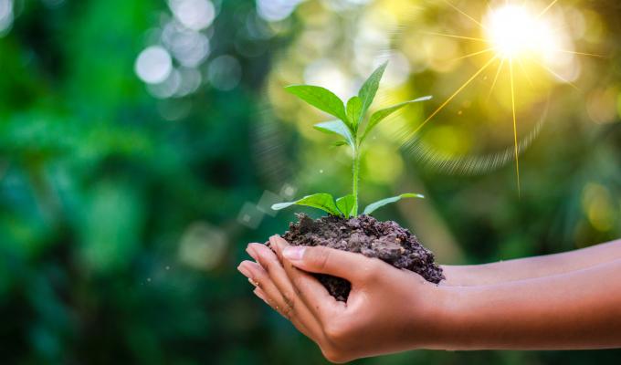 O Direito Ambiental em Perspectiva